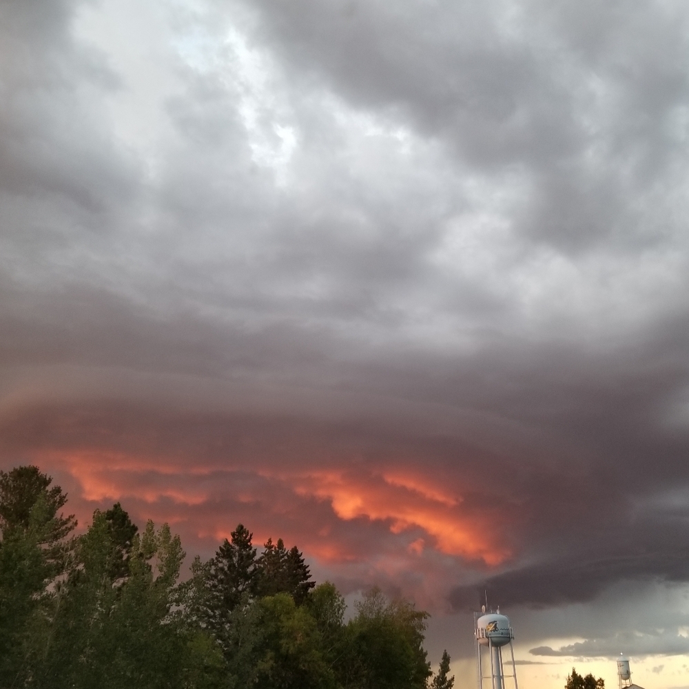 Meet your Posher, Kiana